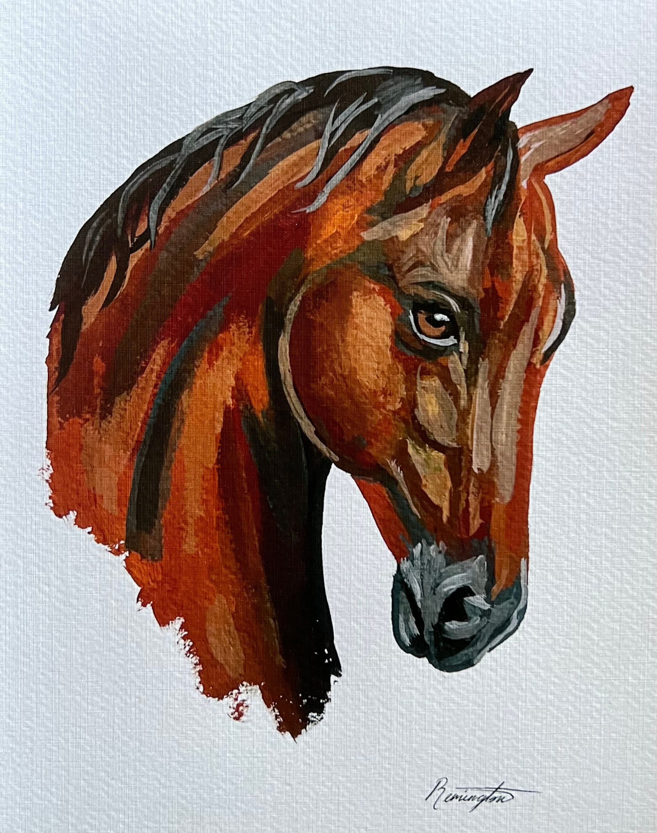 Horse Portrait Art Print