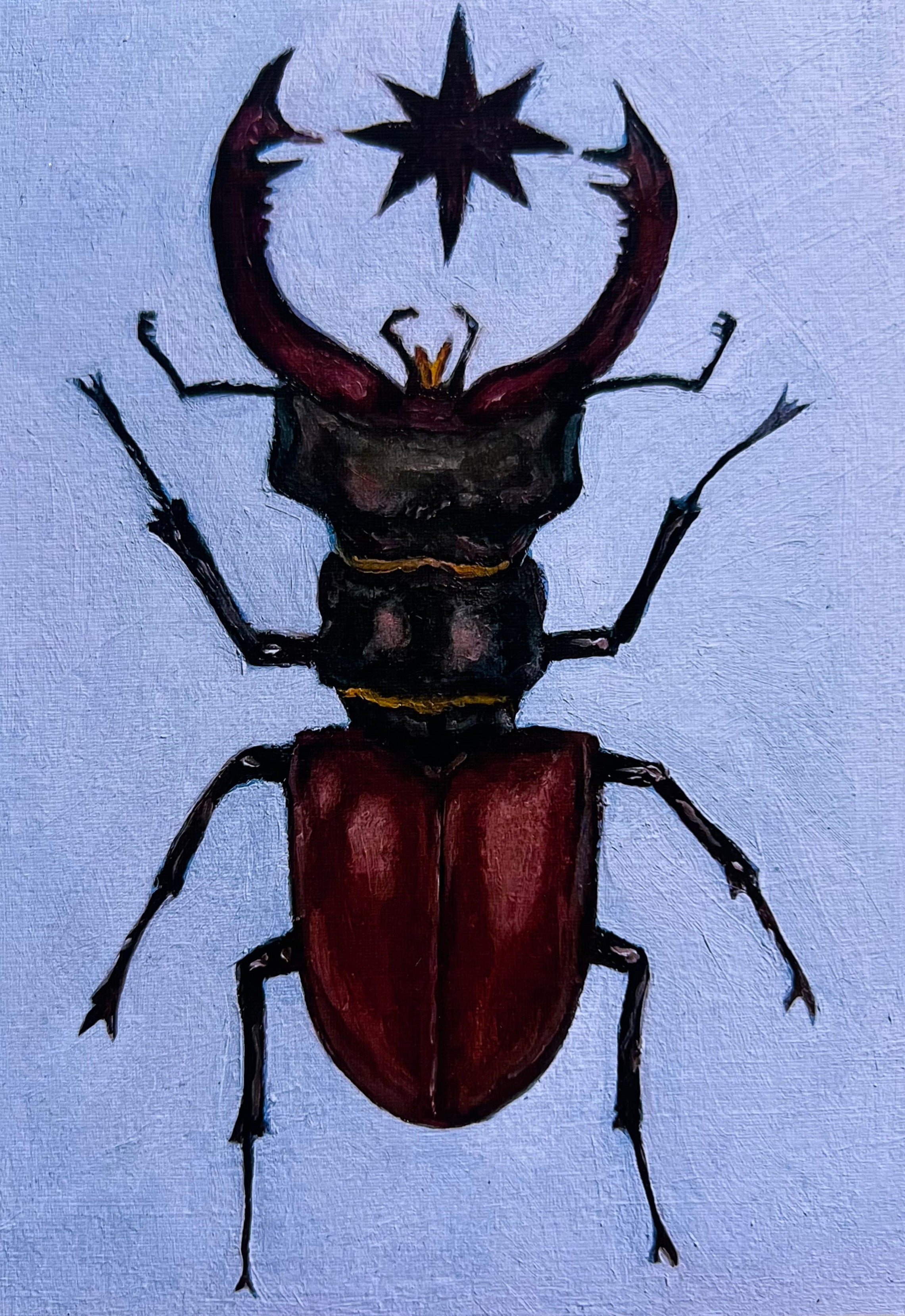 Star Beetle Art Print